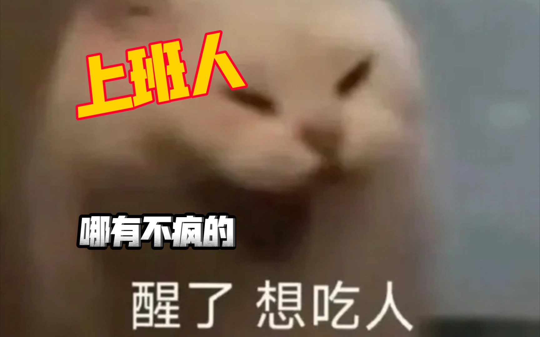 关于破防了打工人哪有不疯的硬撑罢了的信息