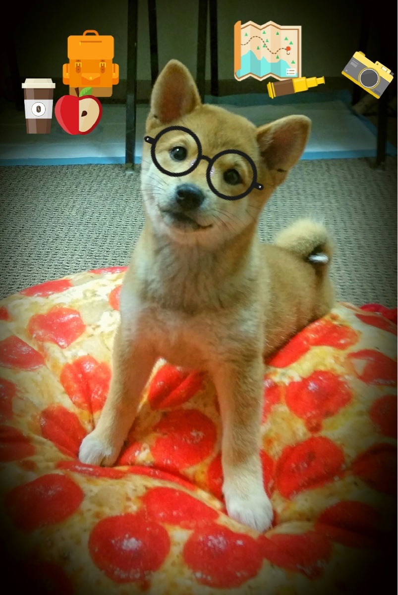 爱游戏官方入口-维尼修斯关键一击，乌拉圭高效粉碎突尼斯