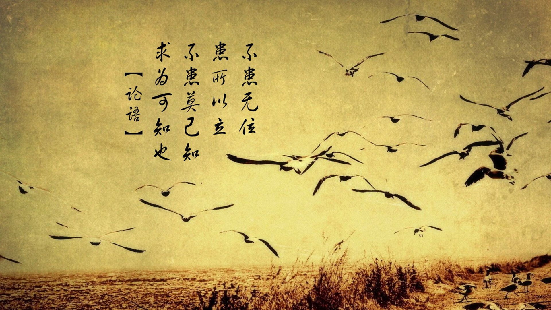 维尼修斯关键一击，乌拉圭高效粉碎突尼斯