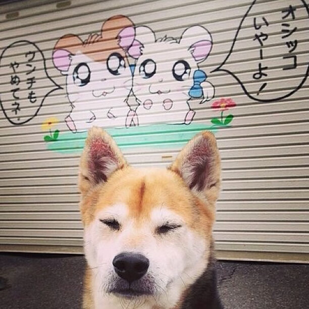 沉默巨人觉醒时刻,英格拉姆的爆发与山西队绝地逆转的终极寓言