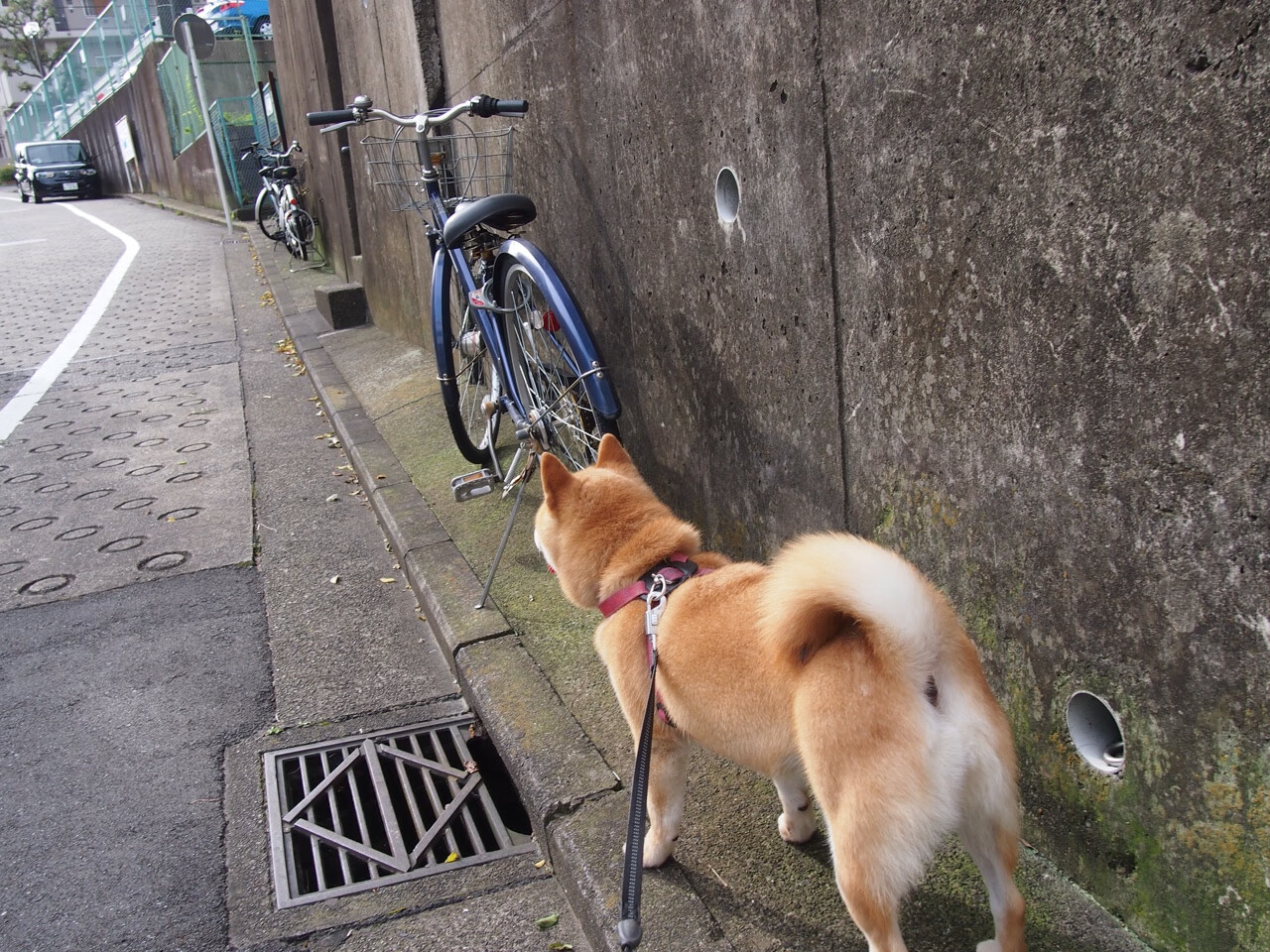 沉默的拱顶石，卡瓦哈尔在国家德比之夜加冕皇马守护神