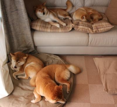 爱游戏下载-末节走廊，当保罗坐在场边静候，时间便不再流淌