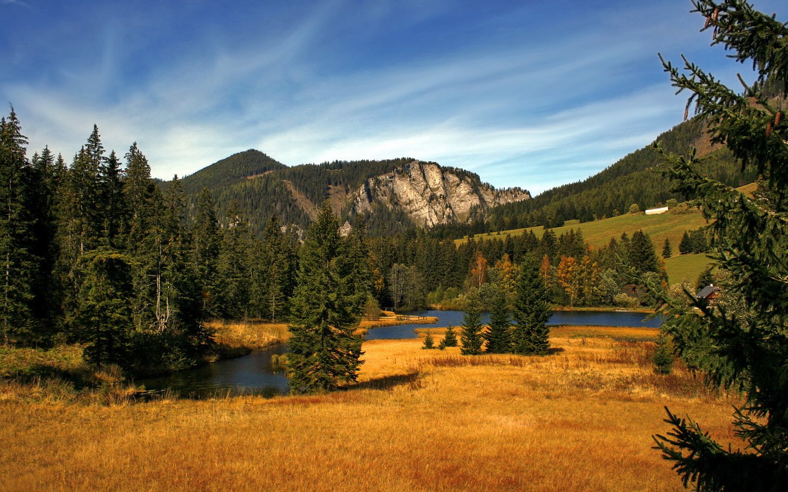 爱游戏体育-基米希一锤定音，厄瓜多尔粉碎韩国，当精准战术击穿钢铁意志