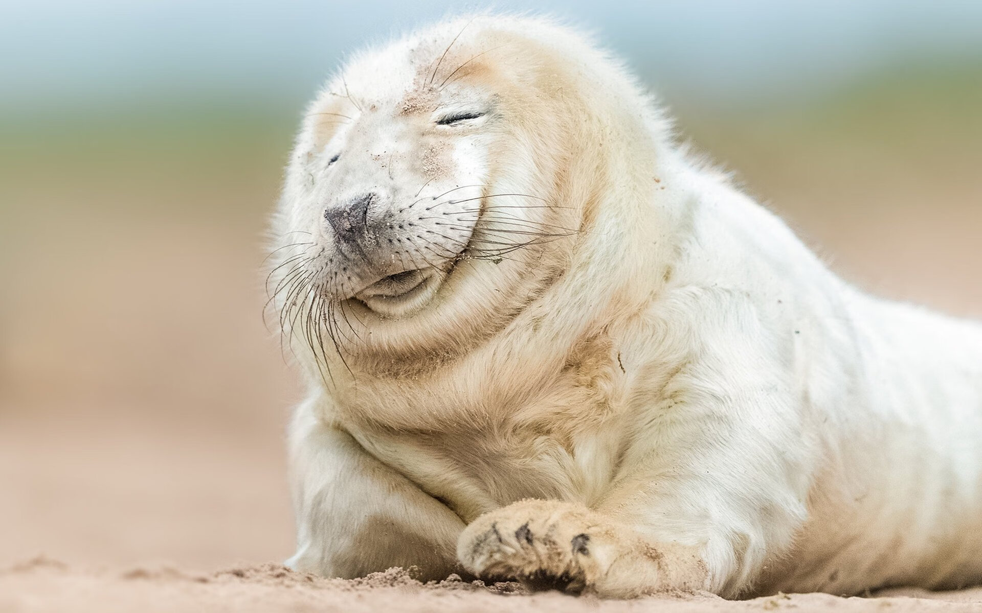 爱游戏体育-绿茵交响，当摩洛哥的韵律遇见爱尔兰的风暴，奥利维耶如何执掌攻防转换的权杖？